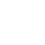 Motorcycles and Scooters
